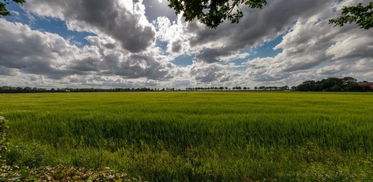 Appartementen Buitenwedde Westerwolde Kültér fotó
